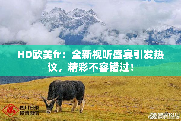 HD欧美fr：全新视听盛宴引发热议，精彩不容错过！