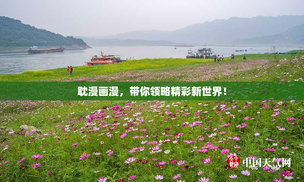耽漫画漫，带你领略精彩新世界！
