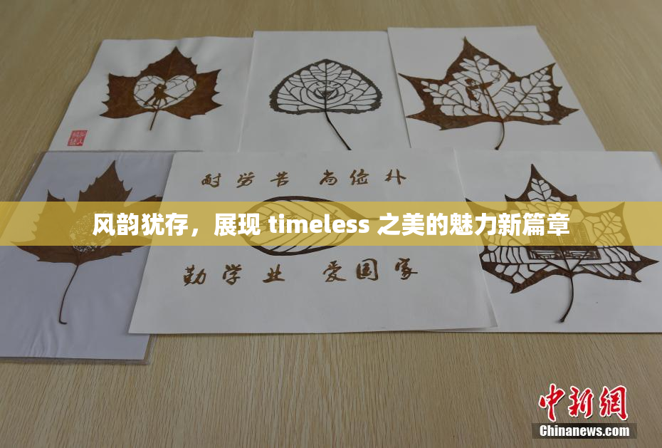 风韵犹存，展现 timeless 之美的魅力新篇章