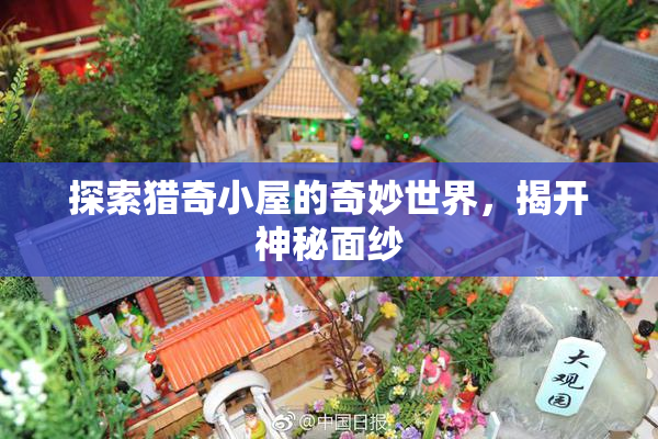 探索猎奇小屋的奇妙世界，揭开神秘面纱