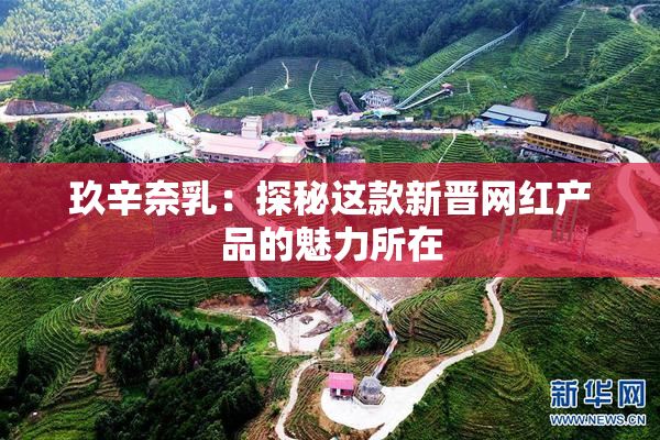 玖辛奈乳：探秘这款新晋网红产品的魅力所在