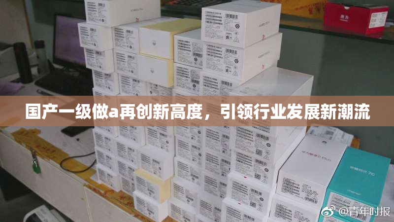 国产一级做a再创新高度，引领行业发展新潮流