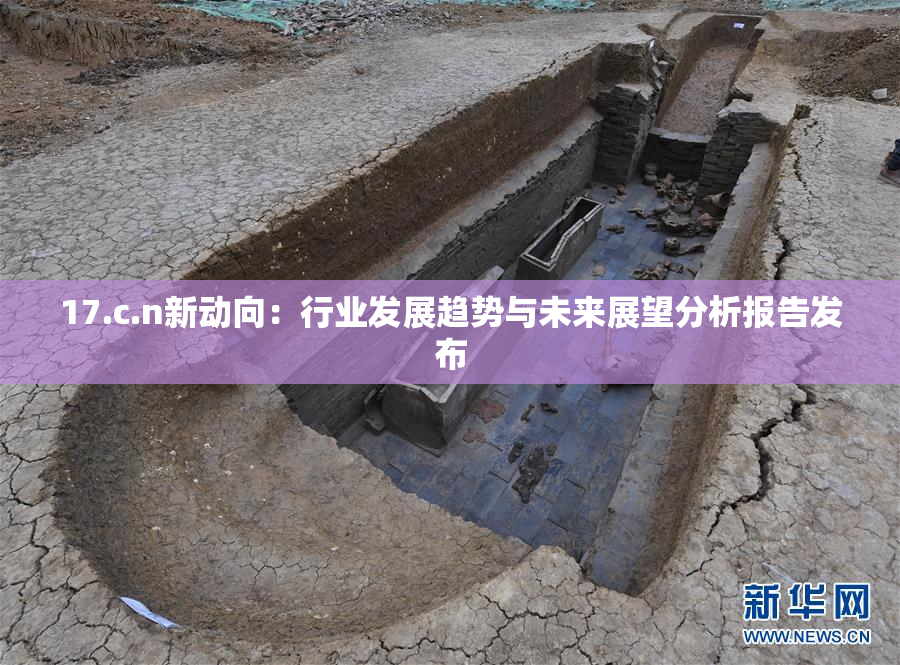 17.c.n新动向：行业发展趋势与未来展望分析报告发布