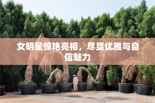 女明星惊艳亮相，尽显优雅与自信魅力
