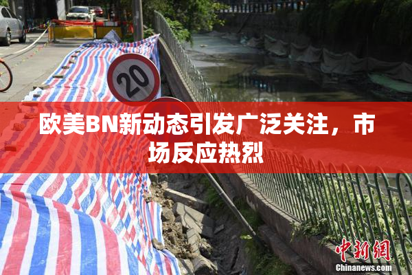 欧美BN新动态引发广泛关注，市场反应热烈
