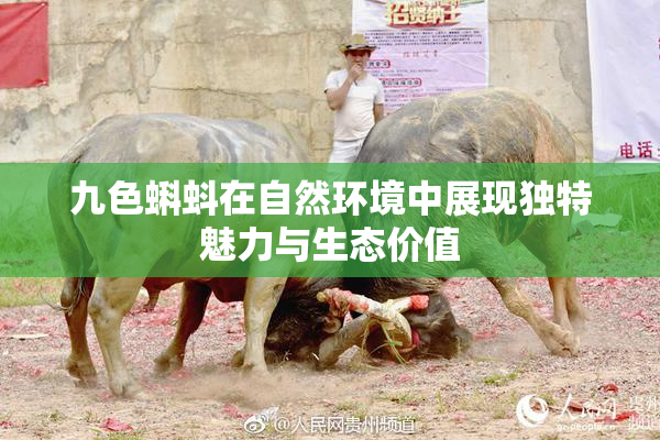 九色蝌蚪在自然环境中展现独特魅力与生态价值
