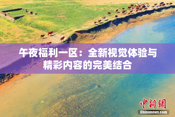 午夜福利一区：全新视觉体验与精彩内容的完美结合