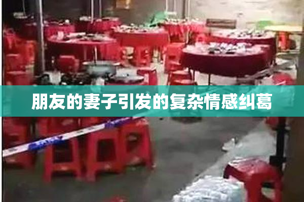 朋友的妻子引发的复杂情感纠葛