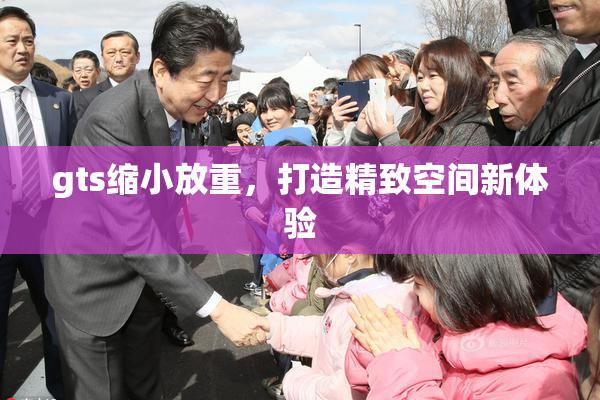gts缩小放重，打造精致空间新体验