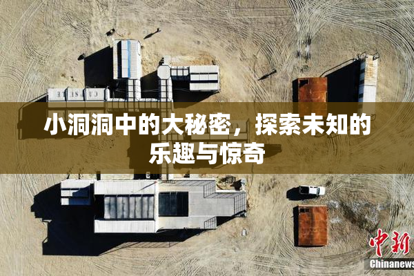 小洞洞中的大秘密，探索未知的乐趣与惊奇
