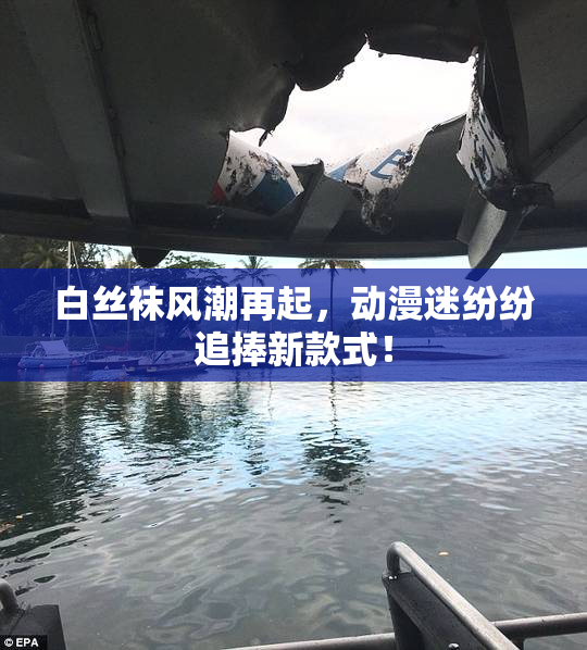 白丝袜风潮再起，动漫迷纷纷追捧新款式！