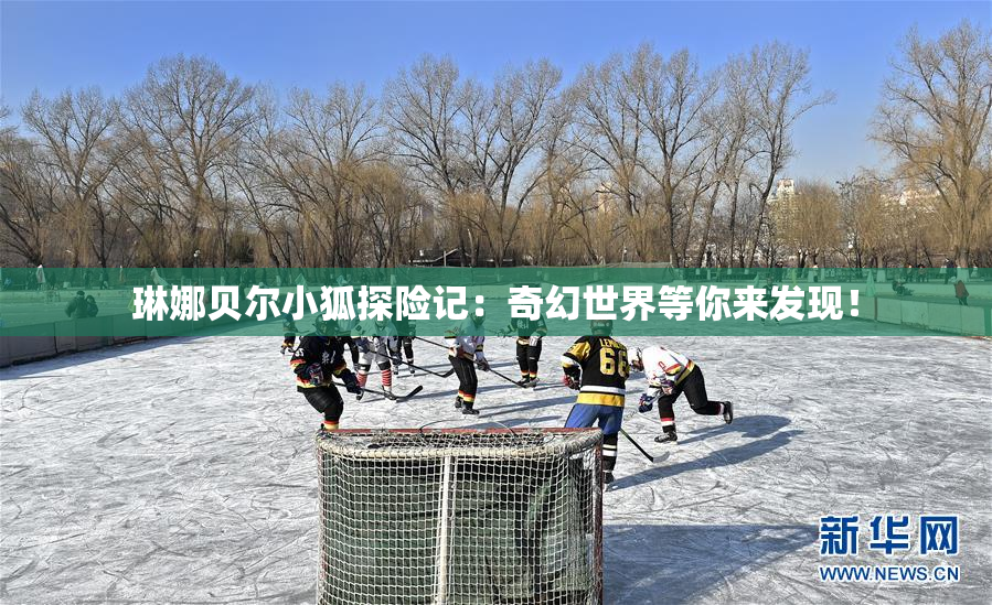 琳娜贝尔小狐探险记：奇幻世界等你来发现！