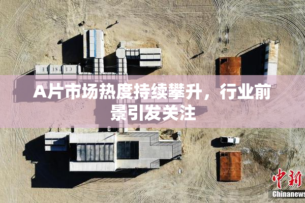 A片市场热度持续攀升，行业前景引发关注