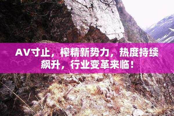 AV寸止，榨精新势力，热度持续飙升，行业变革来临！