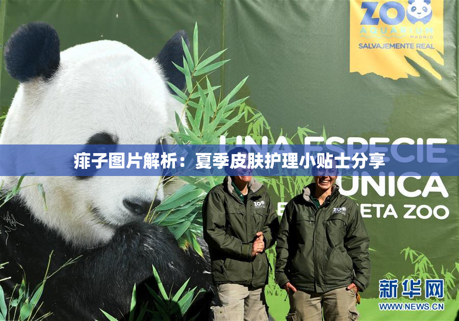 痱子图片解析：夏季皮肤护理小贴士分享