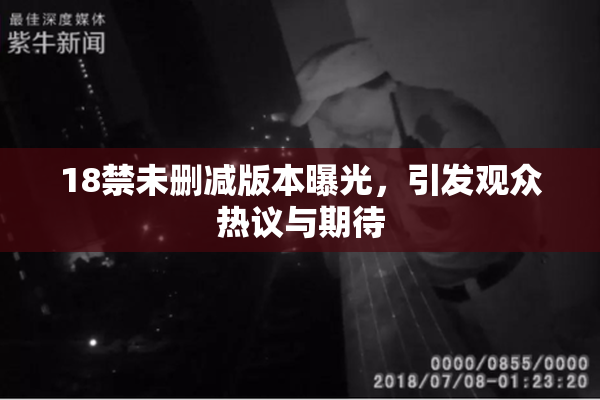 18禁未删减版本曝光，引发观众热议与期待