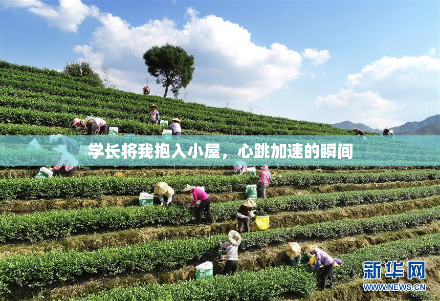 学长将我抱入小屋，心跳加速的瞬间