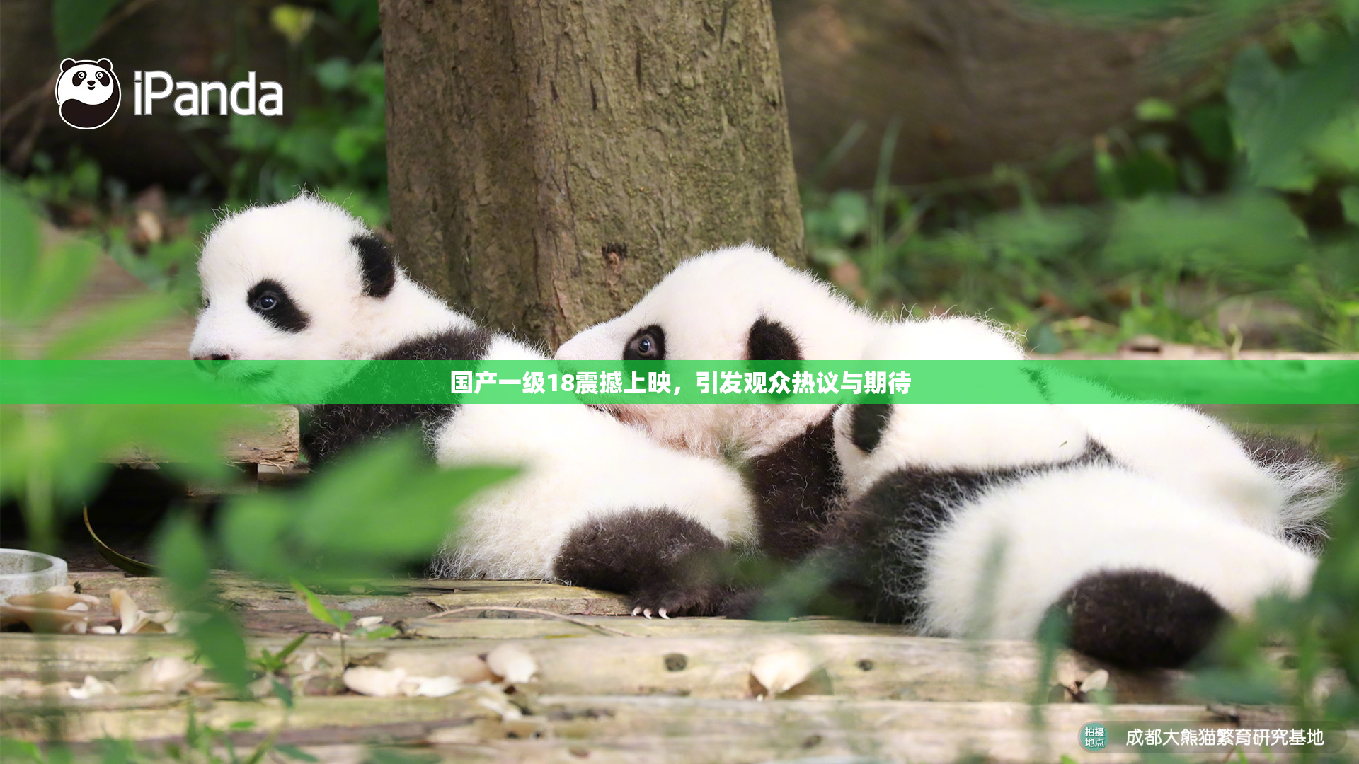 国产一级18震撼上映，引发观众热议与期待
