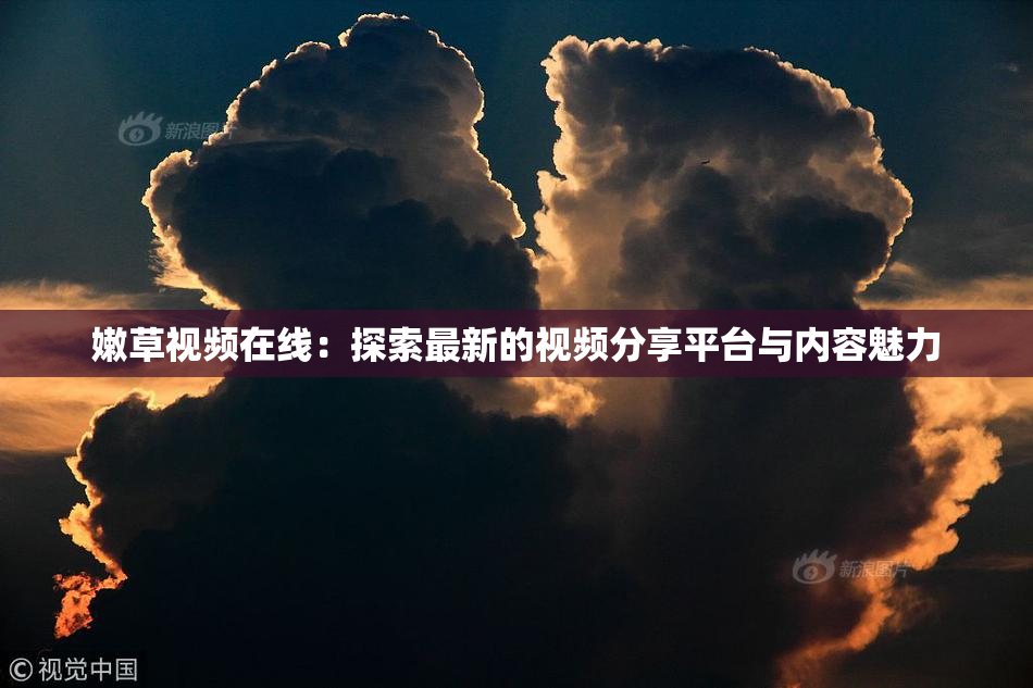 嫩草视频在线：探索最新的视频分享平台与内容魅力
