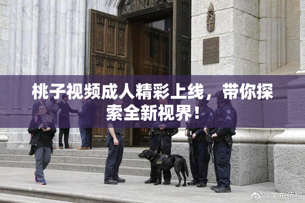桃子视频成人精彩上线，带你探索全新视界！