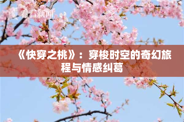 《快穿之桃》：穿梭时空的奇幻旅程与情感纠葛