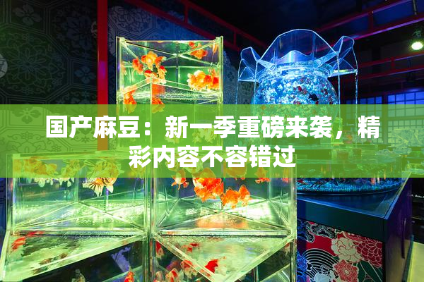 国产麻豆：新一季重磅来袭，精彩内容不容错过