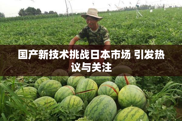 国产新技术挑战日本市场 引发热议与关注