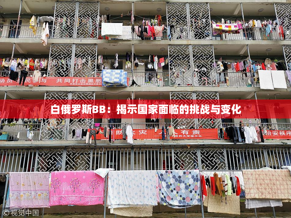 白俄罗斯BB：揭示国家面临的挑战与变化