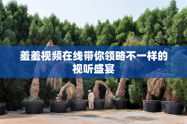 羞羞视频在线带你领略不一样的视听盛宴