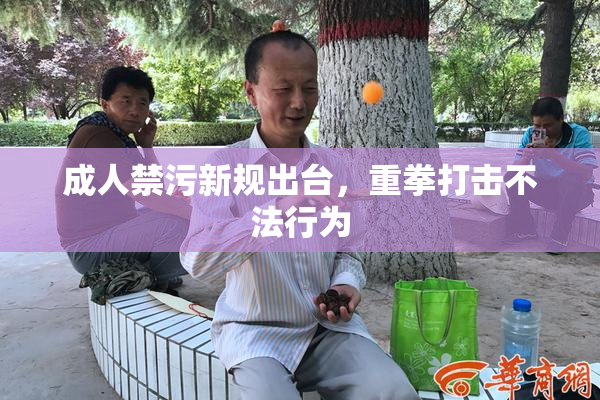 成人禁污新规出台，重拳打击不法行为