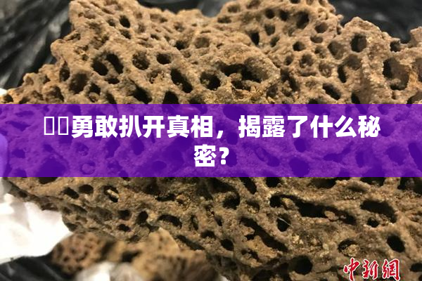 妺妺勇敢扒开真相，揭露了什么秘密？
