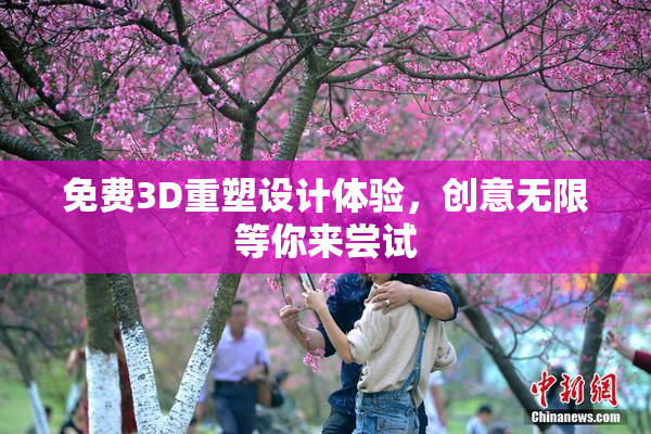 免费3D重塑设计体验，创意无限等你来尝试