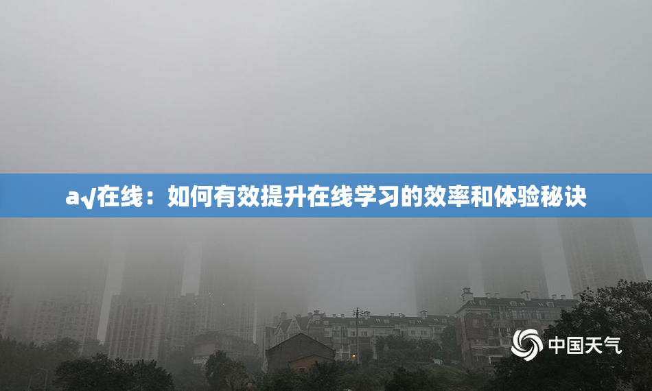 a√在线：如何有效提升在线学习的效率和体验秘诀