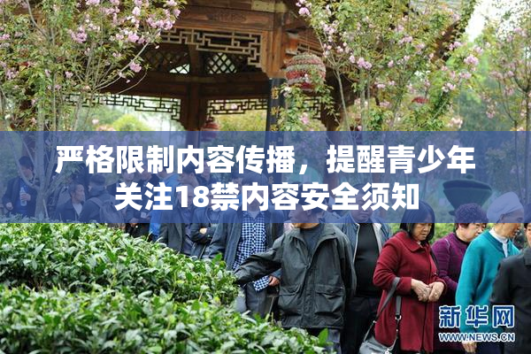 严格限制内容传播，提醒青少年关注18禁内容安全须知