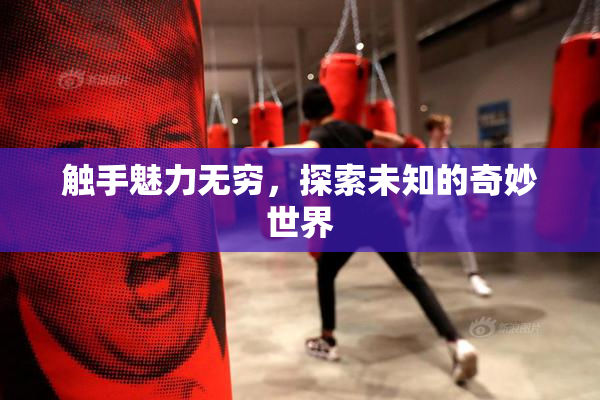 触手魅力无穷，探索未知的奇妙世界