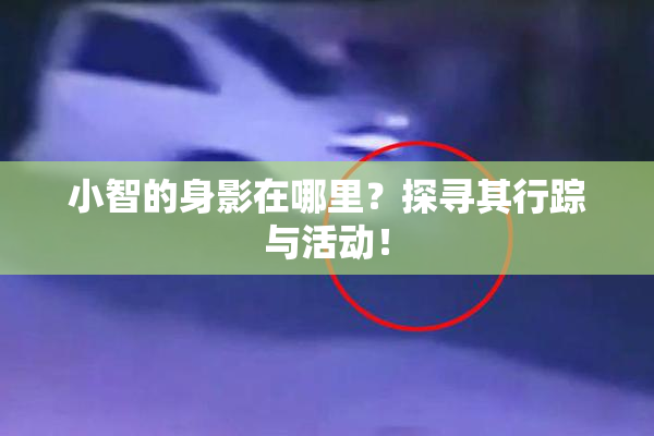 小智的身影在哪里？探寻其行踪与活动！
