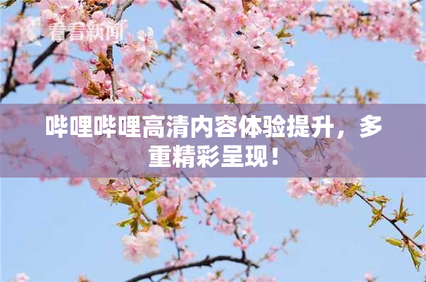 哔哩哔哩高清内容体验提升，多重精彩呈现！