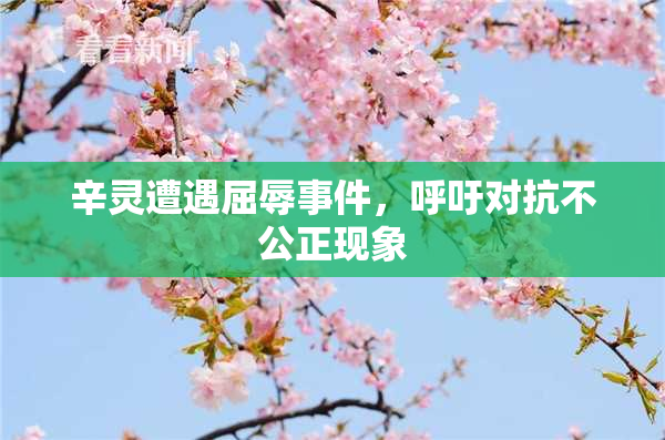 辛灵遭遇屈辱事件，呼吁对抗不公正现象