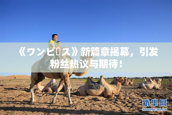 《ワンピース》新篇章揭幕，引发粉丝热议与期待！