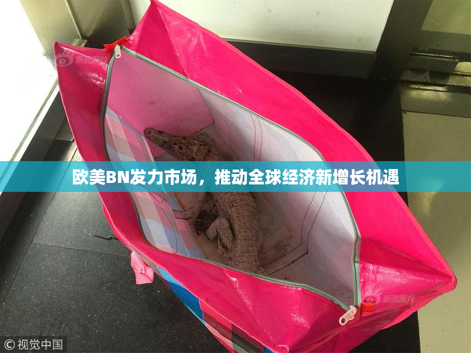 欧美BN发力市场，推动全球经济新增长机遇