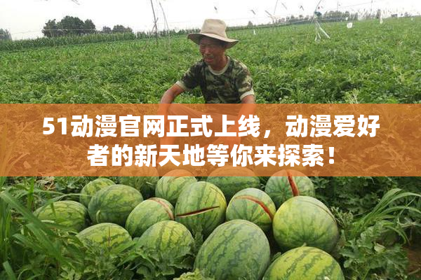 51动漫官网正式上线，动漫爱好者的新天地等你来探索！