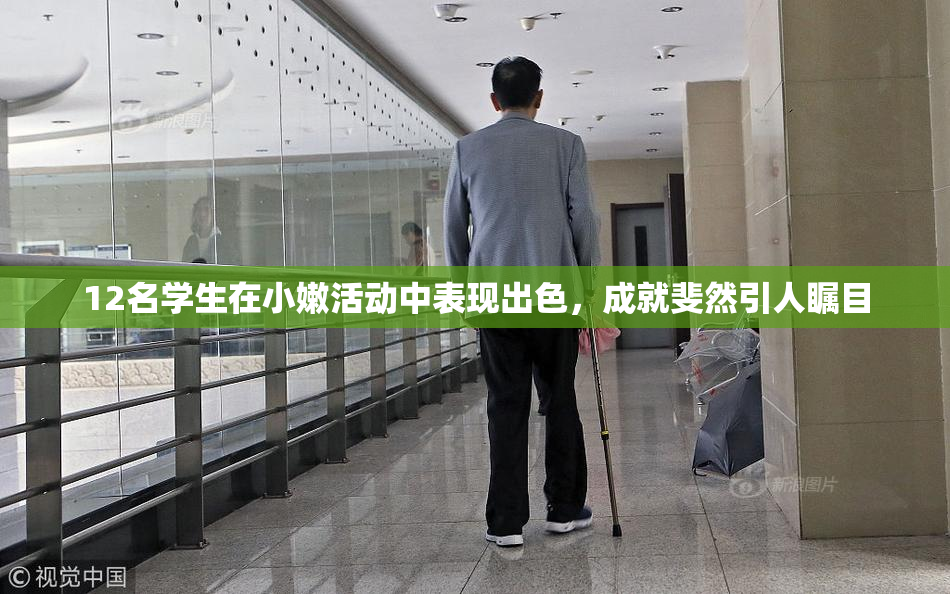 12名学生在小嫩活动中表现出色，成就斐然引人瞩目
