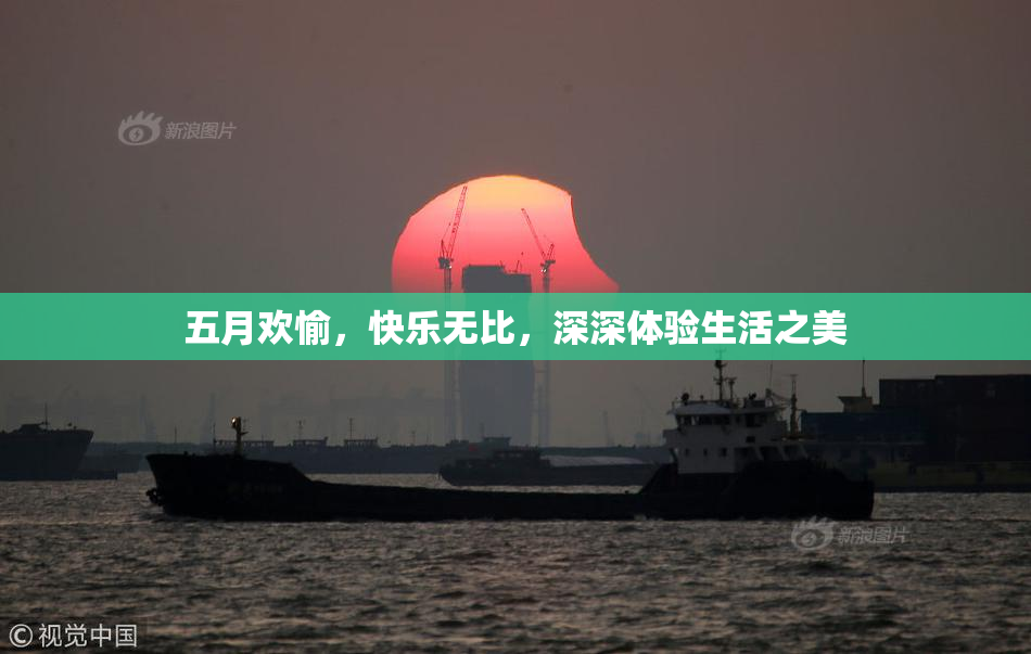 五月欢愉，快乐无比，深深体验生活之美