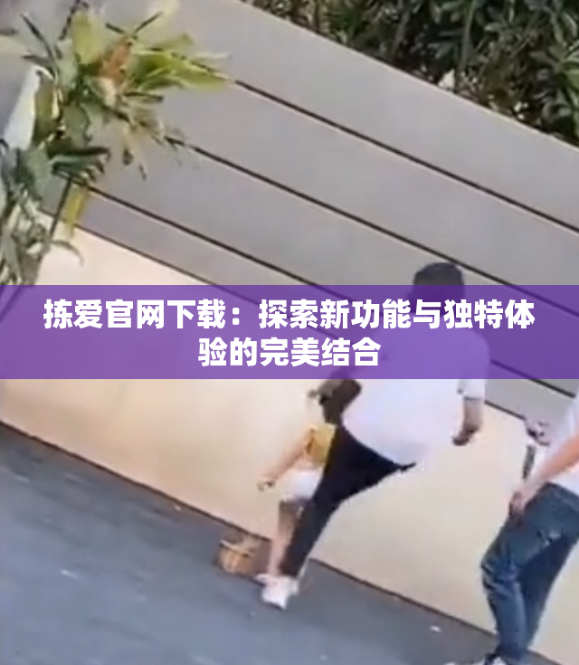 拣爱官网下载：探索新功能与独特体验的完美结合