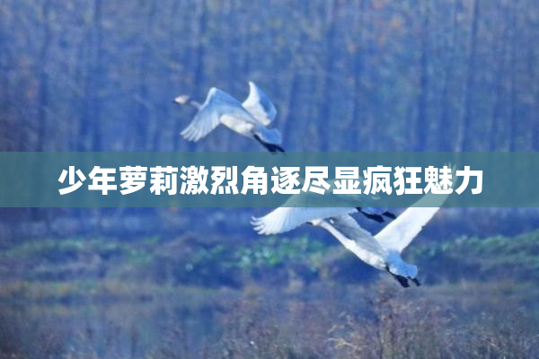 少年萝莉激烈角逐尽显疯狂魅力