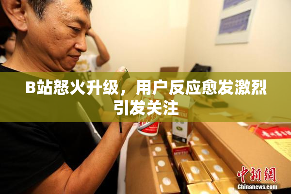 B站怒火升级，用户反应愈发激烈引发关注