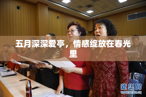五月深深爱亭，情感绽放在春光里