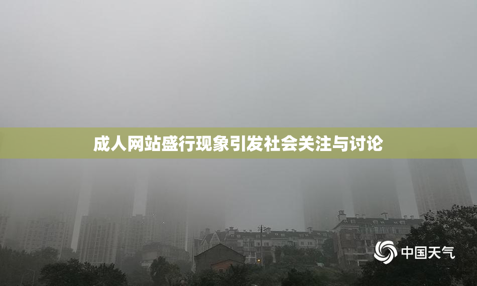 成人网站盛行现象引发社会关注与讨论