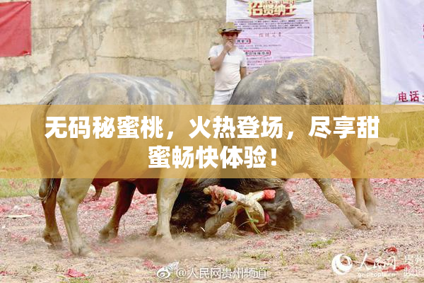 无码秘蜜桃，火热登场，尽享甜蜜畅快体验！