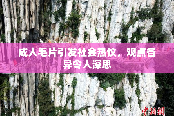 成人毛片引发社会热议，观点各异令人深思